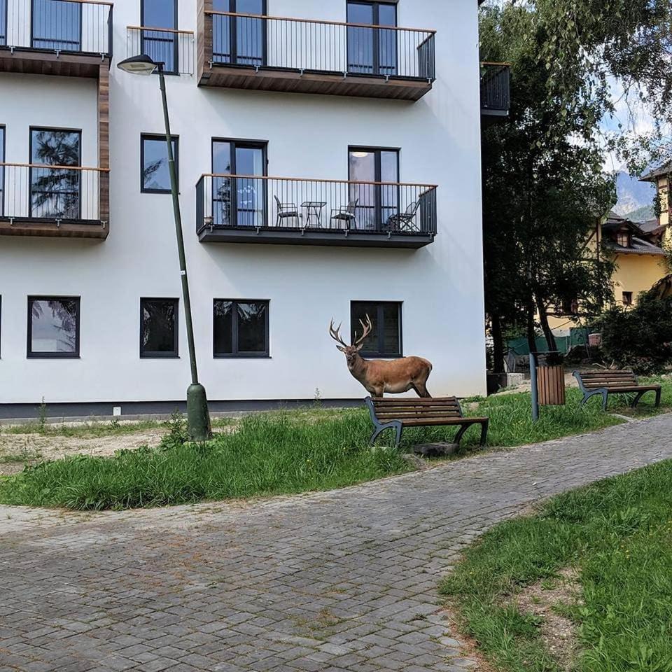 Apartman Hory - V Srdci Tatier Високе-Татри Экстерьер фото